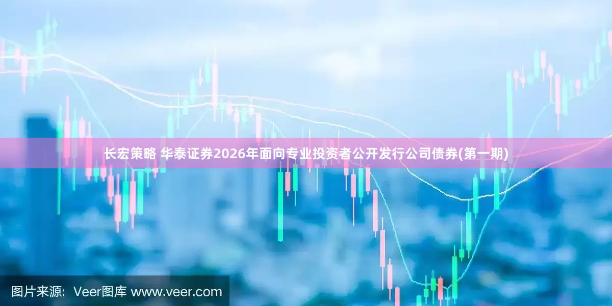长宏策略 华泰证券2026年面向专业投资者公开发行公司债券(第一期)